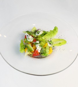 Овощной салат с нежным сыром рикотта и мятой / 240